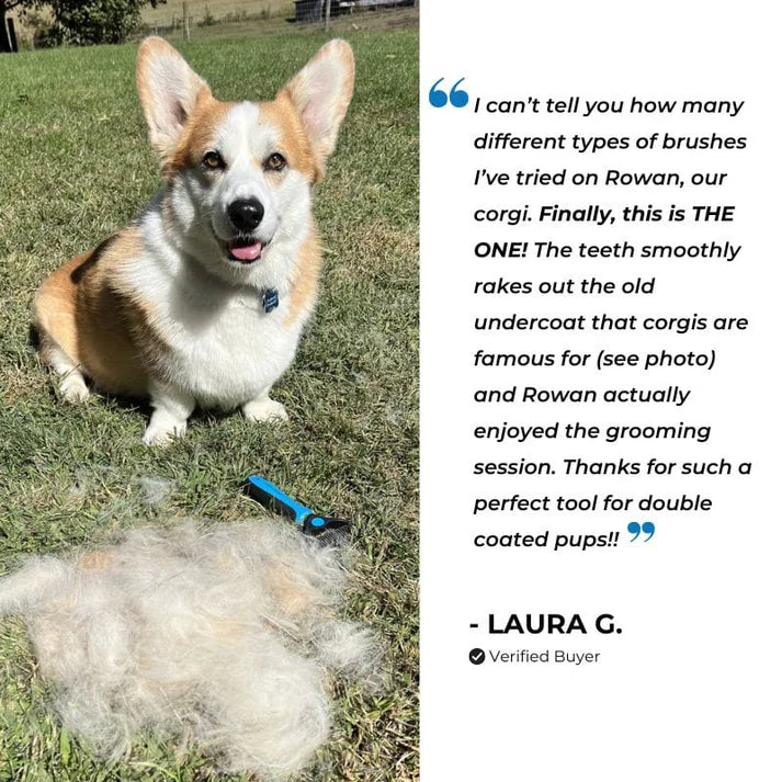 Vitalife - Furever Brush